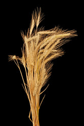 Similar image 2115212