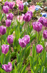 Similar image 2115219