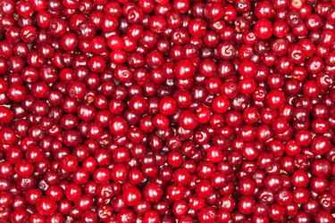 Similar image 2115222