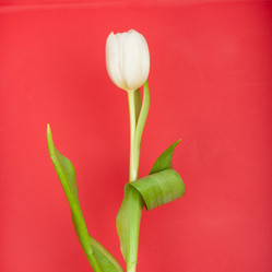 Similar image 2115225