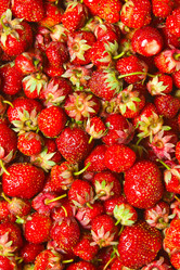 Similar image 2115228