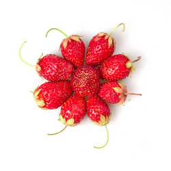 Similar image 2115230