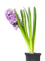 Similar image 2115239