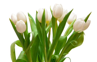 Similar image 2115245