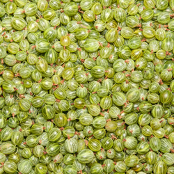 Similar image 2115247