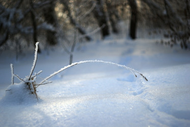 Similar image 2115254