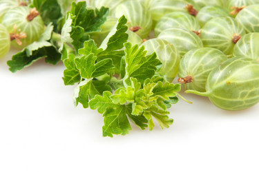 Similar image 2115273