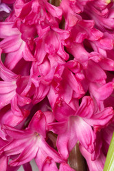 Similar image 2115274