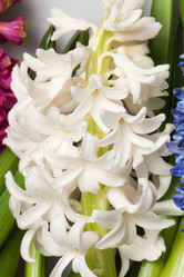 Similar image 2115276