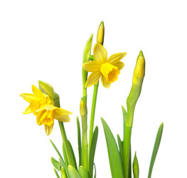 Similar image 2115277