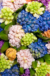 Similar image 2115278