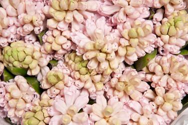 Similar image 2115279