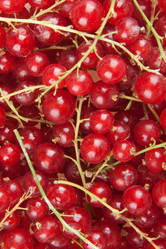 Similar image 2115282