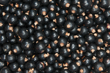 Similar image 2115283