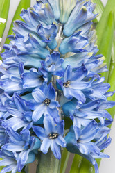 Similar image 2115285