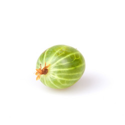 Similar image 2115287