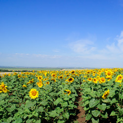 Similar image 2115289