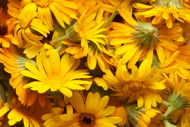 Similar image 2115293