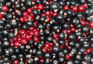 Similar image 2115297