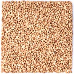 Similar image 2115300