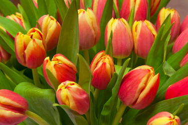 Similar image 2115309