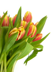 Similar image 2115310