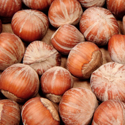 Similar image 2115311