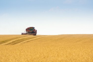 Similar image 2115314