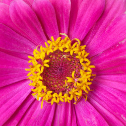 Similar image 2115320