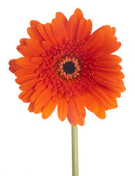 Similar image 2115323