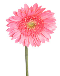 Similar image 2115326