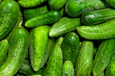 Similar image 2115370