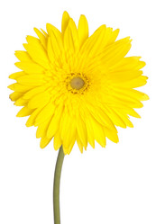 Similar image 2115375