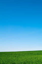 Similar image 2115385