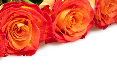 Similar image 2115390