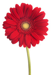 Similar image 2115392