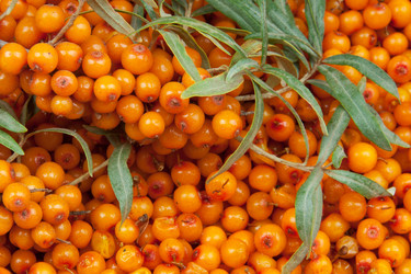 Similar image 2115397