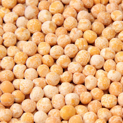 Similar image 2115399