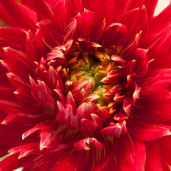 Similar image 2115433