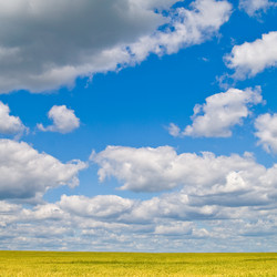 Similar image 2115439