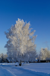 Similar image 2117266