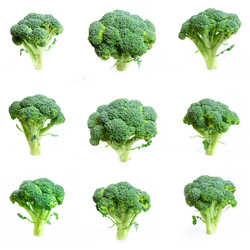 Similar image 2117517