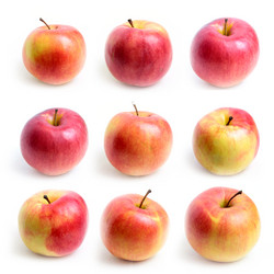 Similar image 2117627