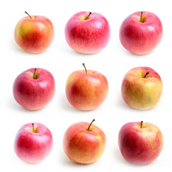 Similar image 2117629