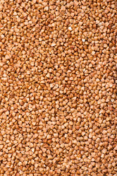 Similar image 2120294