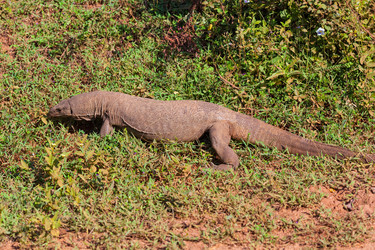 Similar image 2124155