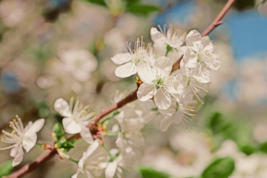 Similar image 2124210