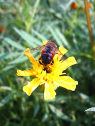 Similar image 2124272