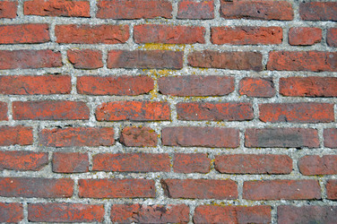 Similar image 2124350