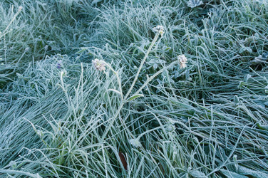 Similar image 2124556